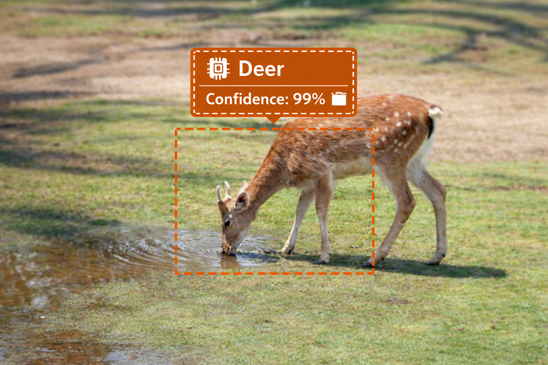AI Trail Cameras: Smarter Wildlife Detection Without the Noise