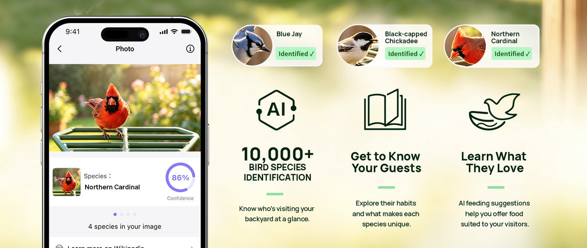 Parallens_bird_feeder_app_function
