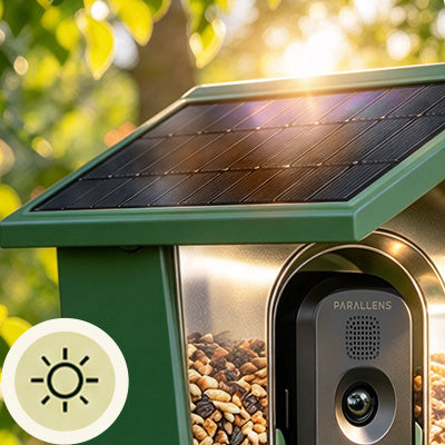 Parallens_bird_feeder_solar_panel