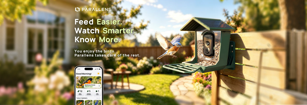 Parallens_smart_bird_cam_feeder