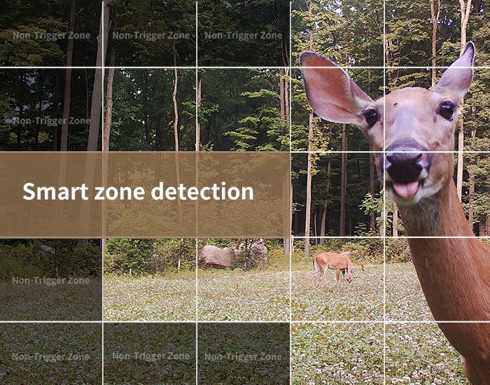 Parallens Smart zone detection 