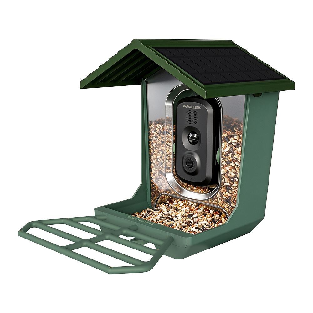Parallens Bird Cam