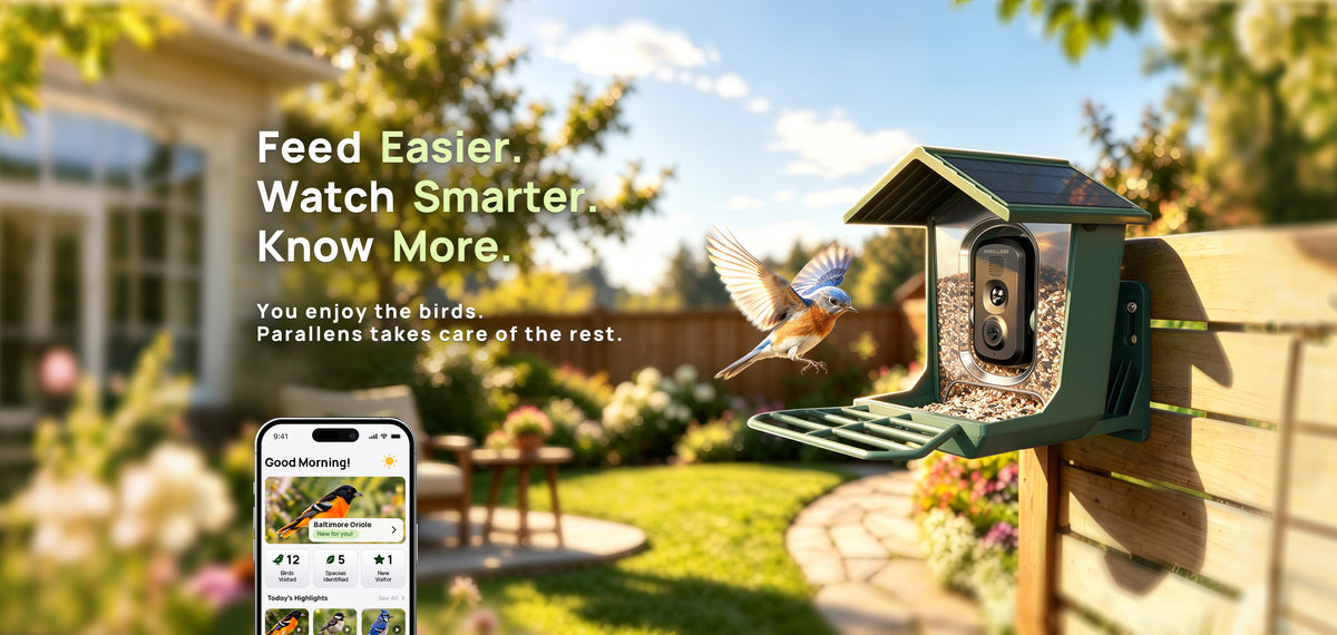 parallens_smart_bird_cam_feeder