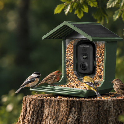 parallens_smart_bird_cam_feeder
